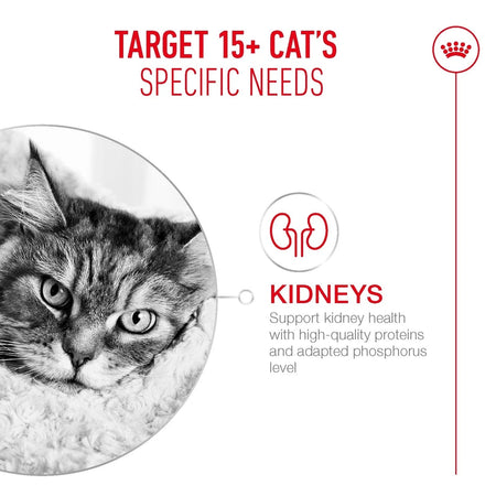 ROYAL CANIN® Ageing 15+ Senior In Gravy Wet Cat Food