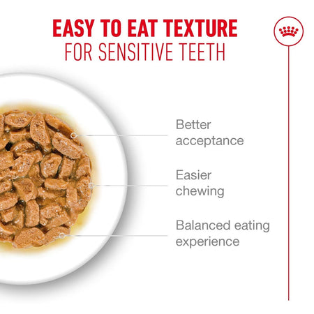 ROYAL CANIN® Ageing 15+ Senior In Gravy Wet Cat Food