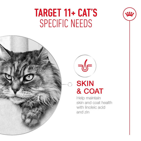 ROYAL CANIN® Ageing 11+ Dry Cat Food