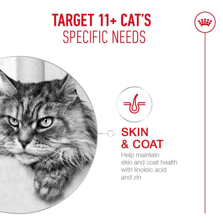 ROYAL CANIN® Ageing 11+ Senior In Jelly Wet Cat Food