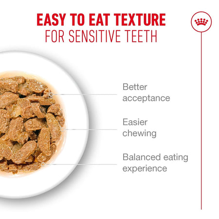 ROYAL CANIN® Ageing 11+ Senior In Jelly Wet Cat Food