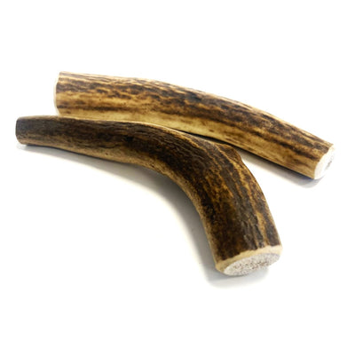 Antler Dog Chew Small (Weight 50 - 74g)