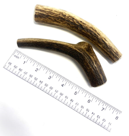 Antler Dog Chew Small (Weight 50 - 74g)