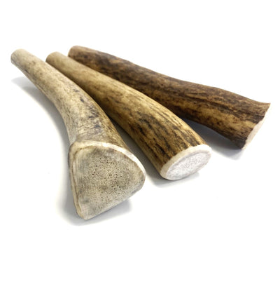 Antler Dog Chew Extra Small (Weight 30 - 49g)