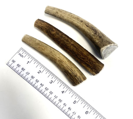 Antler Dog Chew Extra Small (Weight 30 - 49g)
