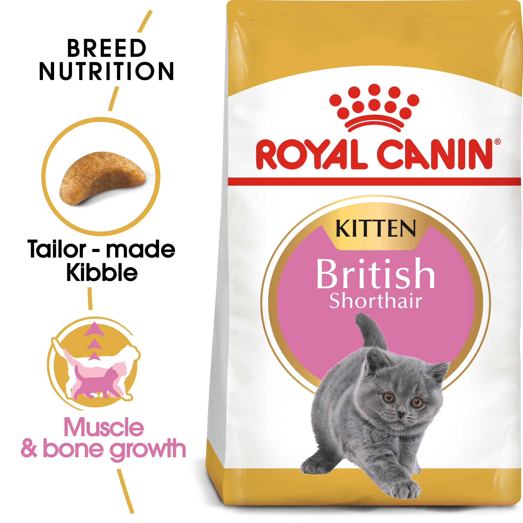 ROYAL CANIN British Shorthair Kitten 10kg Maltbys Stores