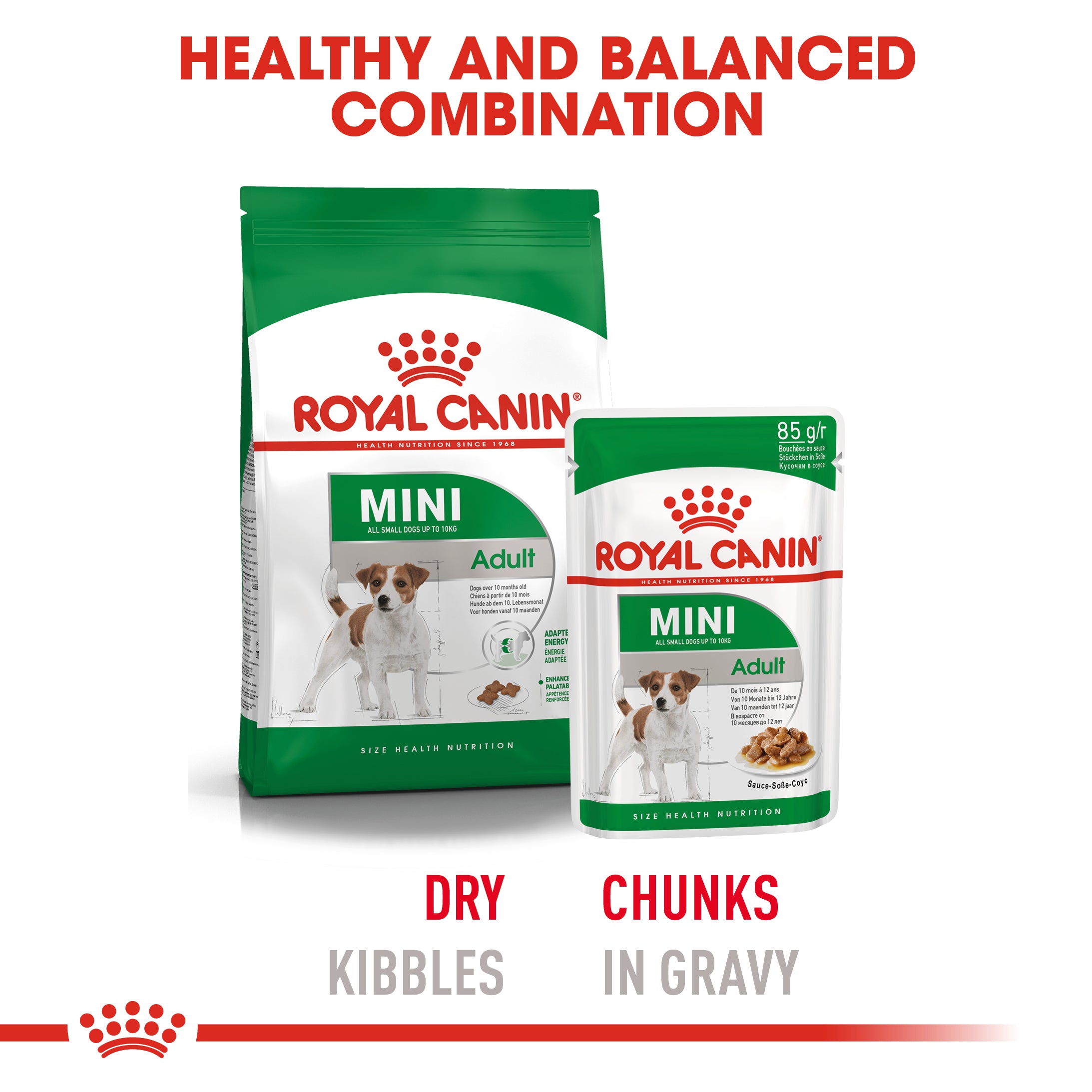 Royal canin outlet mini dog food