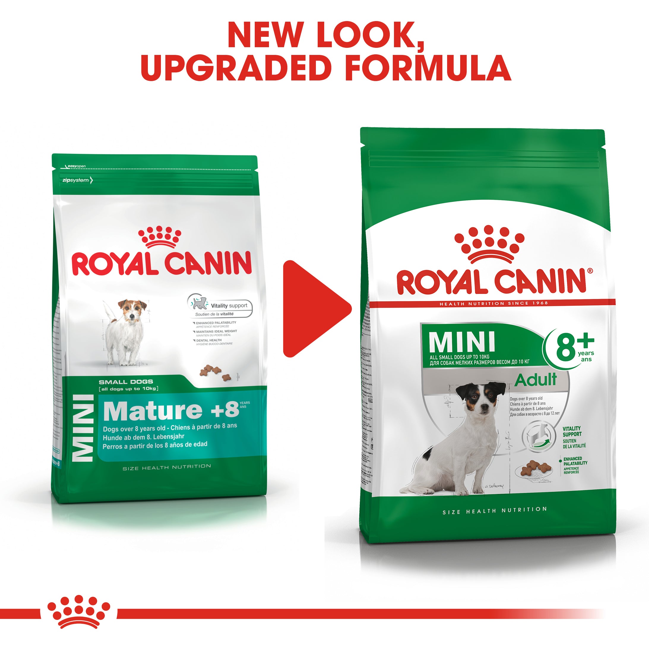 ROYAL CANIN Mini Adult 8 2kg Maltbys Stores