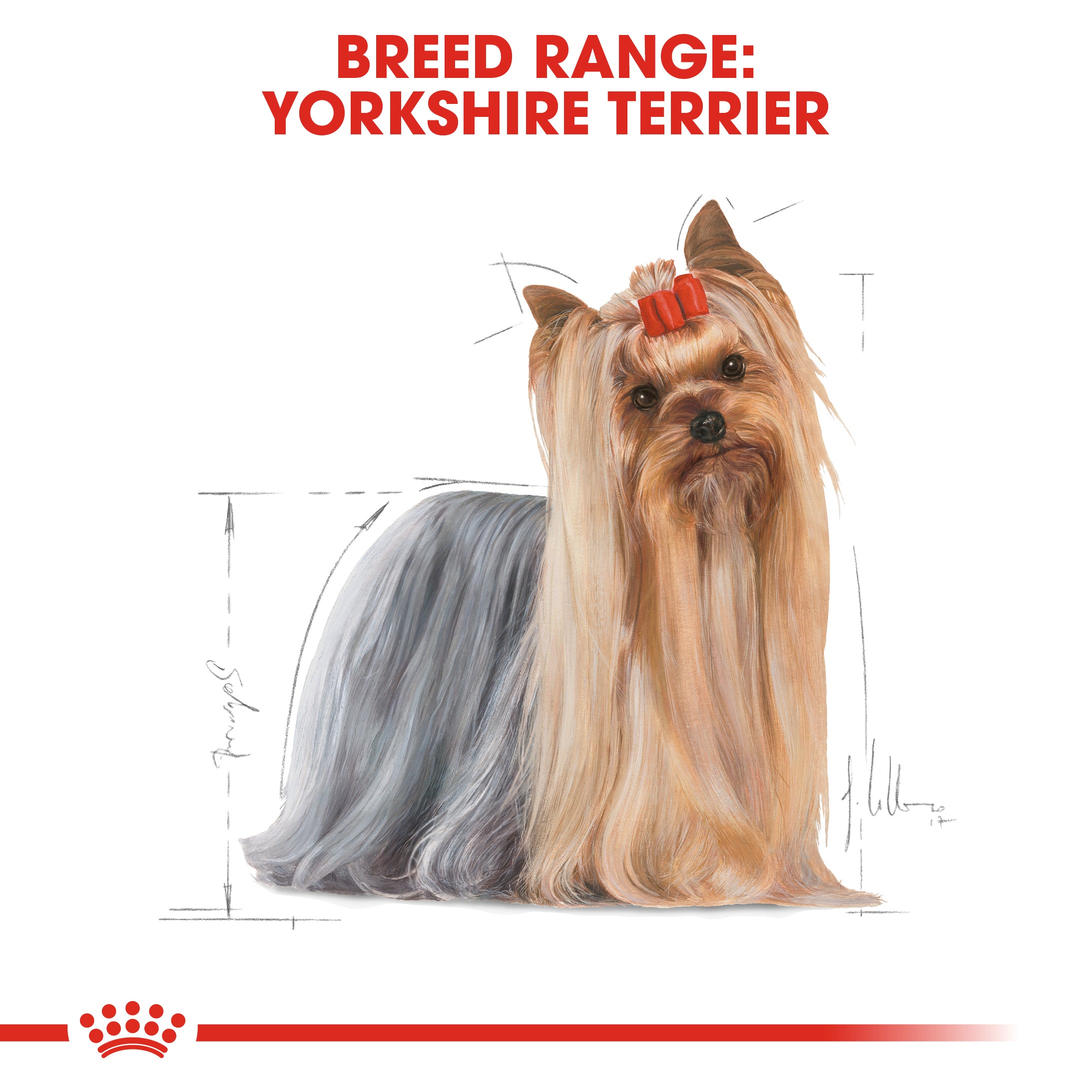 Royal canin best sale terrier food