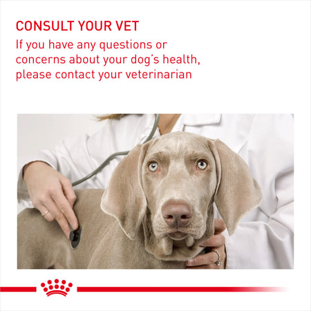 ROYAL CANIN® Medium Sterilised Care Adult Dry Dog Food