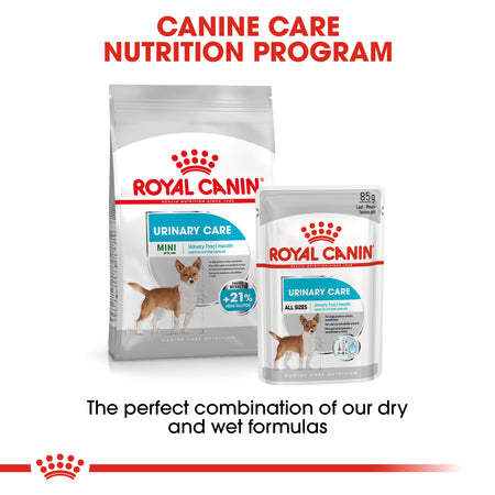 ROYAL CANIN® Mini Urinary Care Adult Dry Dog Food