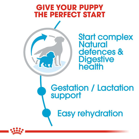 ROYAL CANIN® Medium Starter Mother & Babydog Adult and Puppy Dry Food