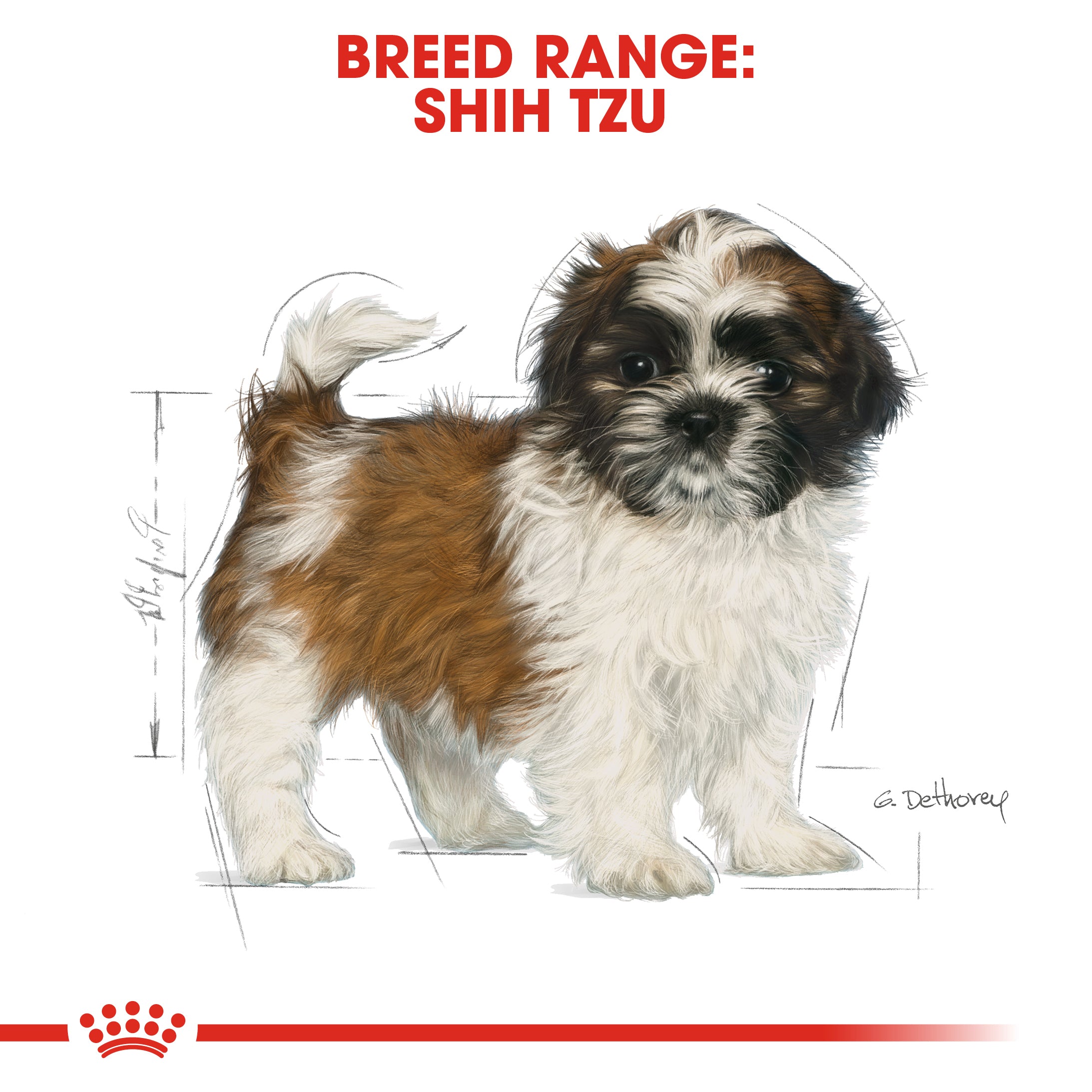 ROYAL CANIN Shih Tzu Puppy 1.5kg Maltbys Stores