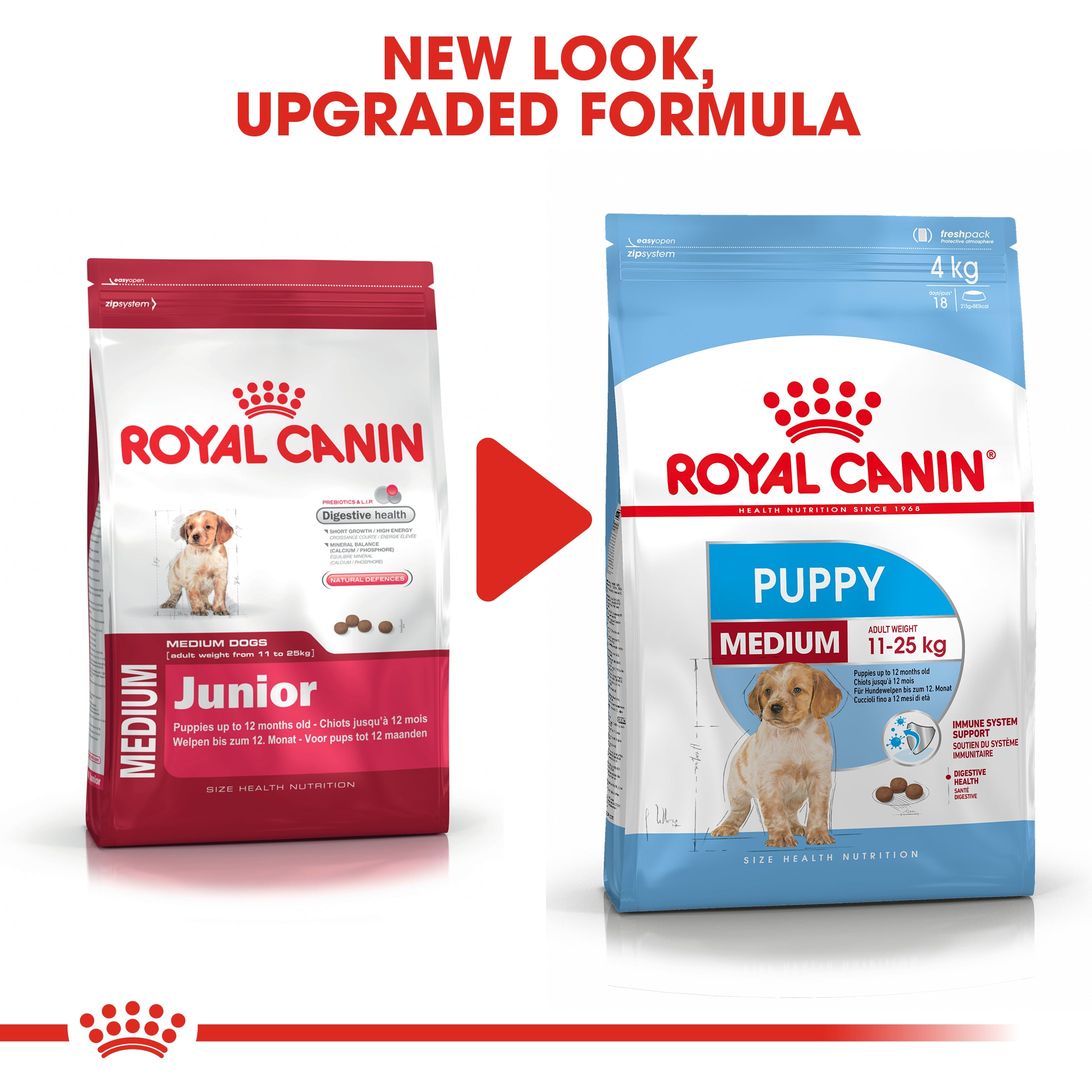 Royal canin hotsell puppy serving size