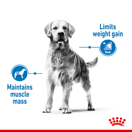 ROYAL CANIN® Maxi Light Weight Care Adult Dry Dog Food
