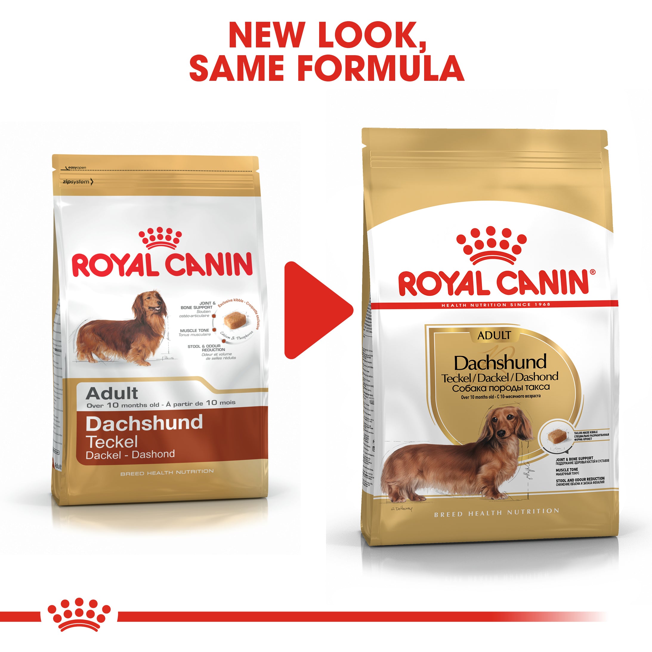 Royal canin outlet adult 10 kg