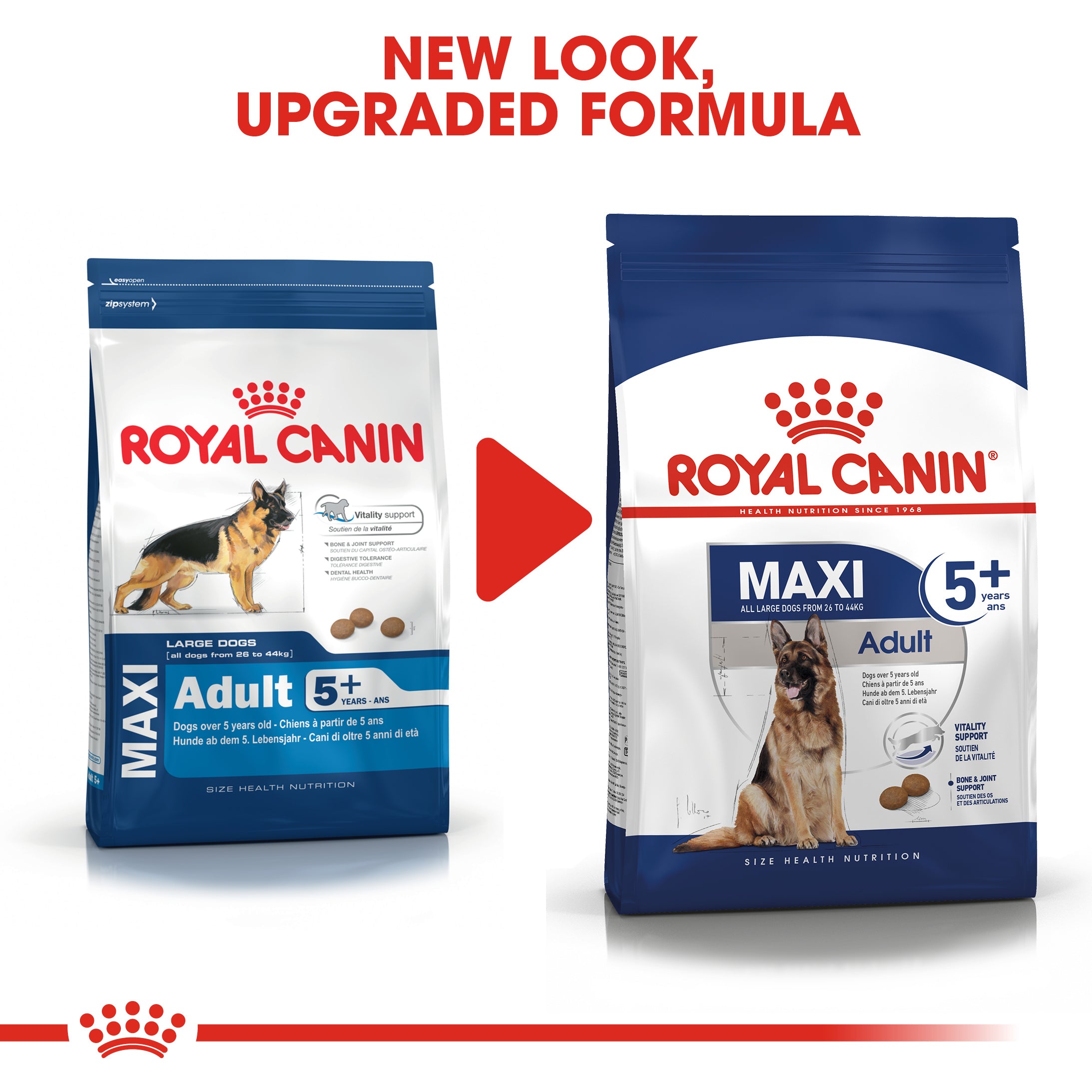 Royal canin shop maxi dog food