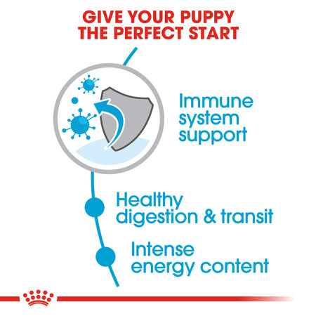 ROYAL CANIN® X-Small Puppy Dry Dog Food