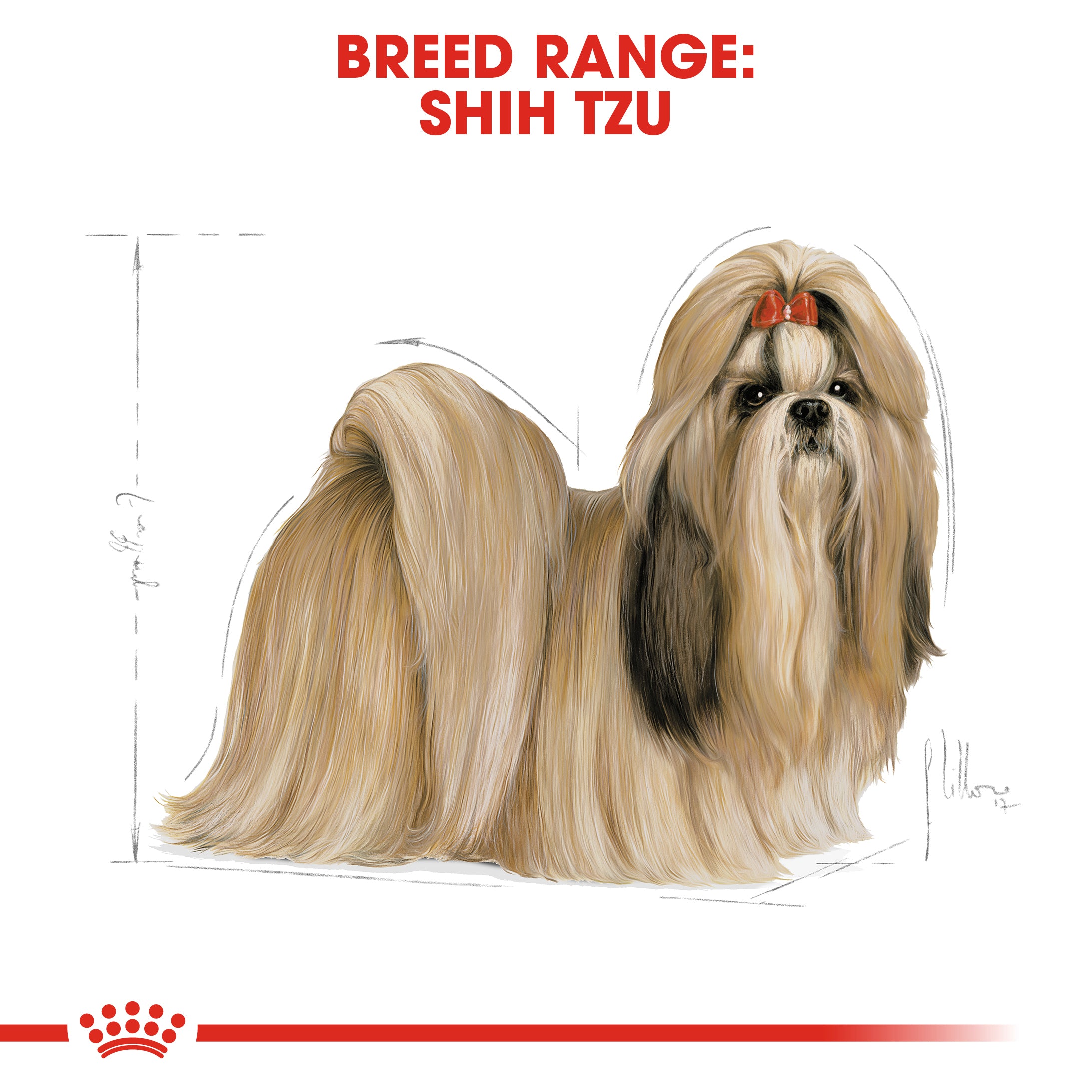 Royal canin dog shop food shih tzu puppy