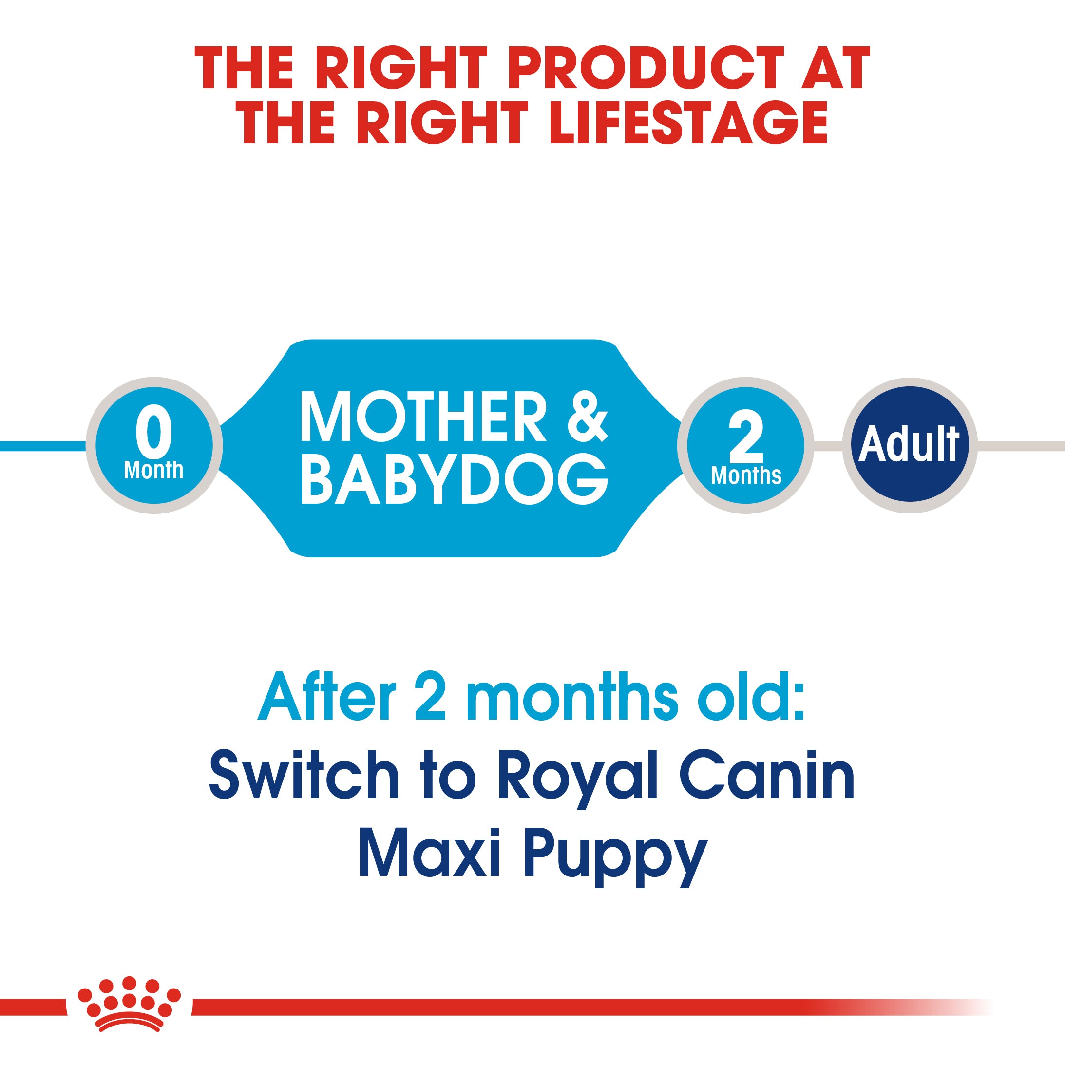 Royal canin maxi starter 15kg sale