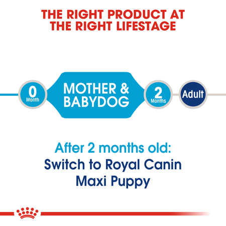 ROYAL CANIN® Maxi Starter Mother & Babydog Adult and Puppy Dry Food
