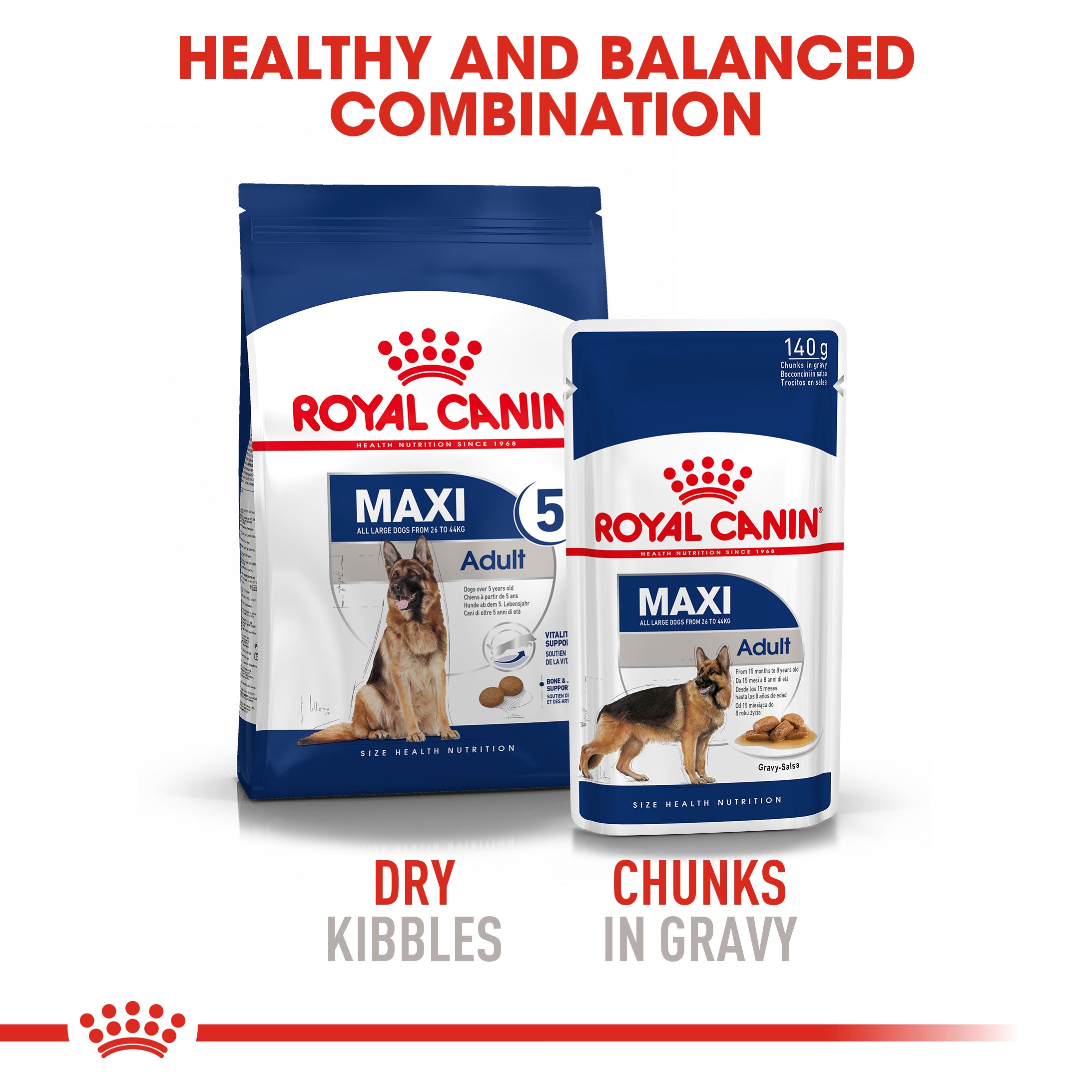 Royal canin 2024 maxi dog food