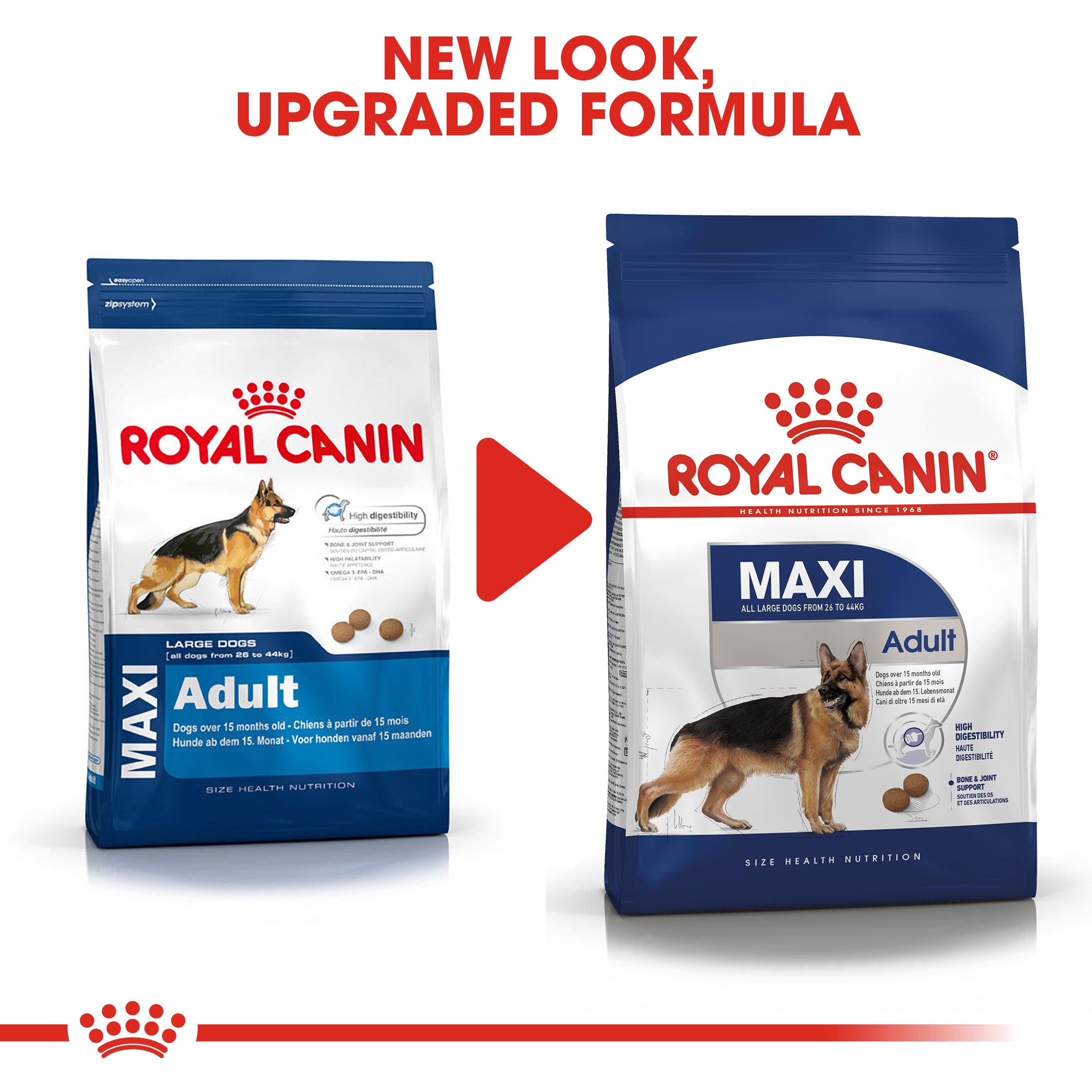 Royal canin shop labrador 15kg