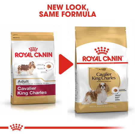 ROYAL CANIN® Cavalier King Charles Adult Dry Dog Food