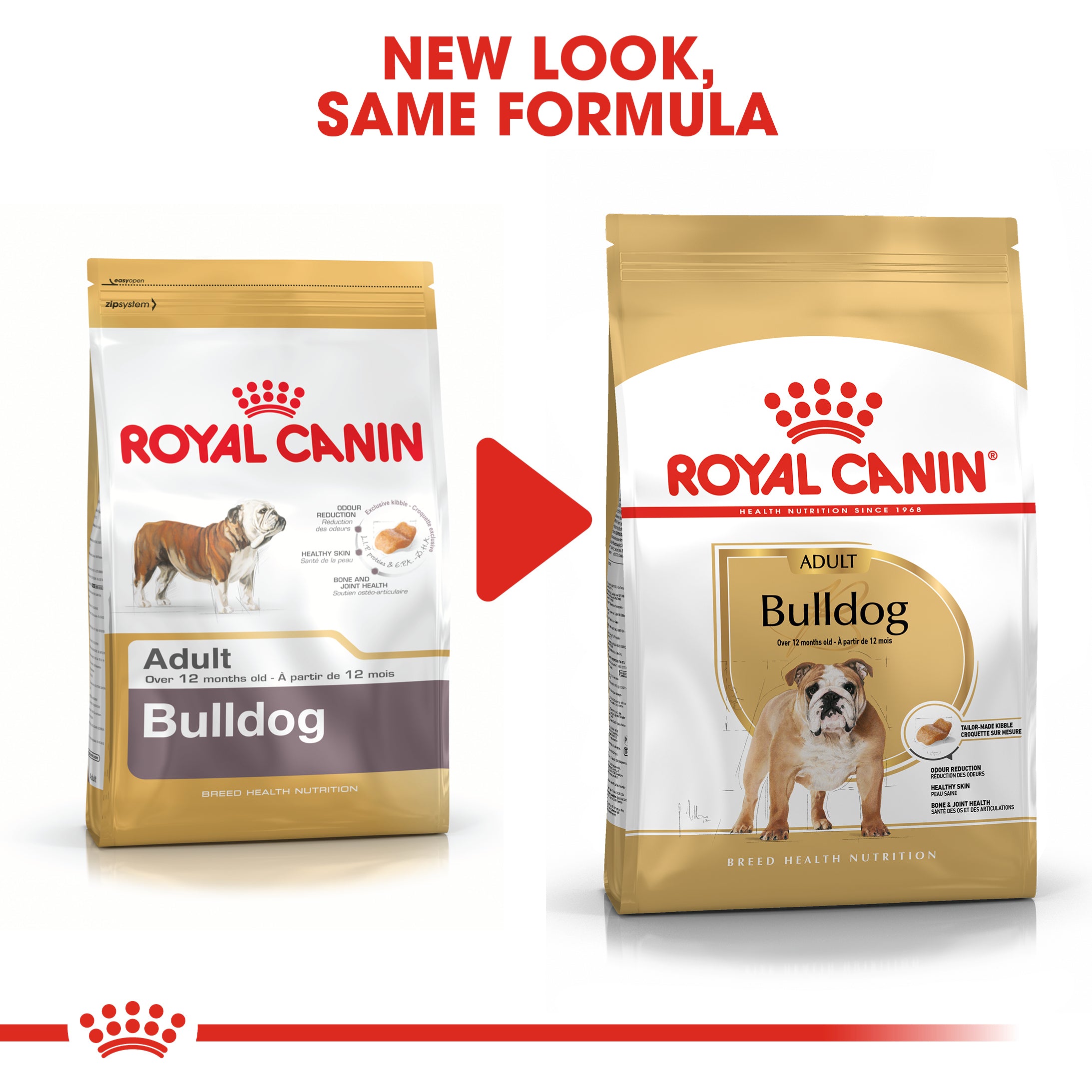 Royal canin best sale adult pr