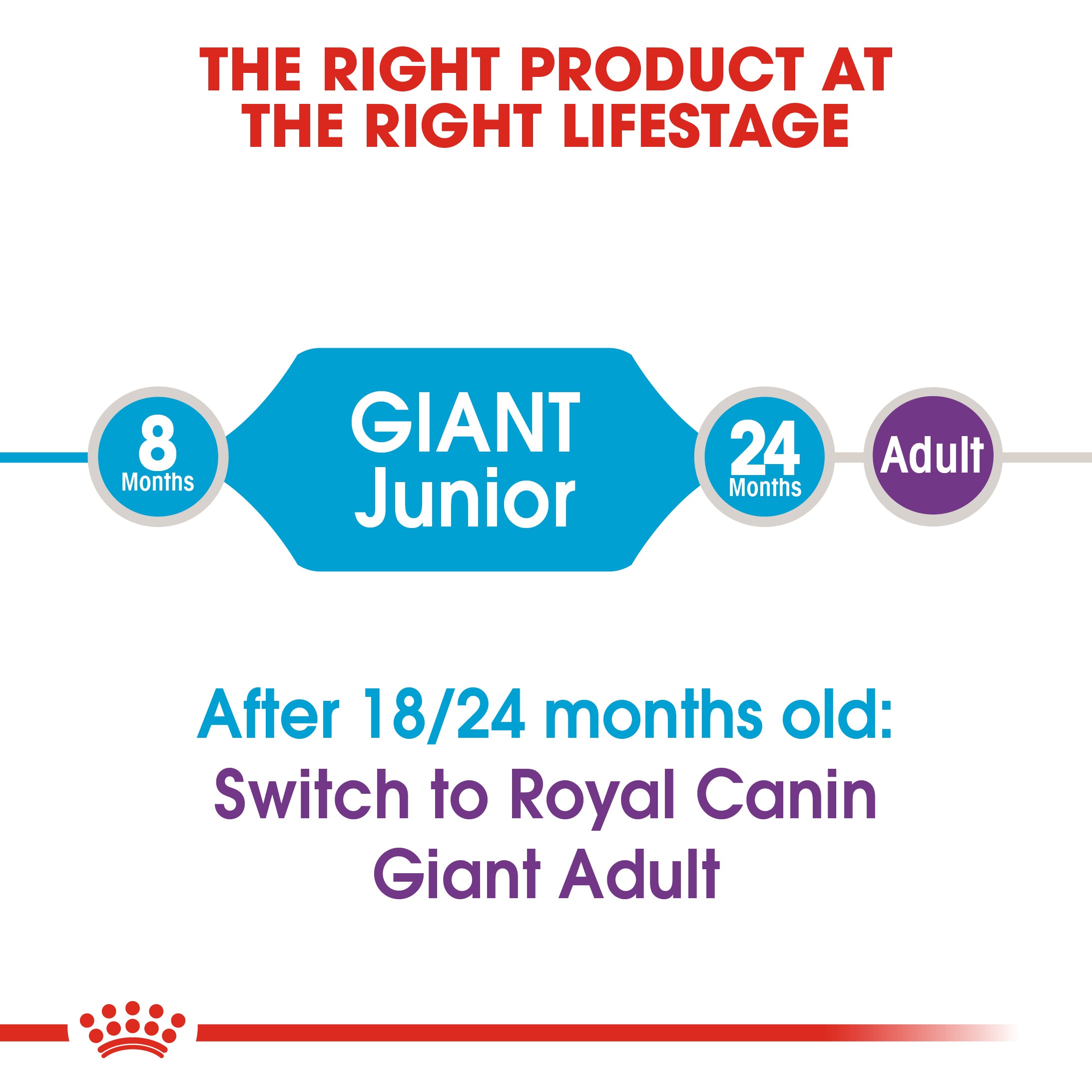 Royal canin large outlet junior