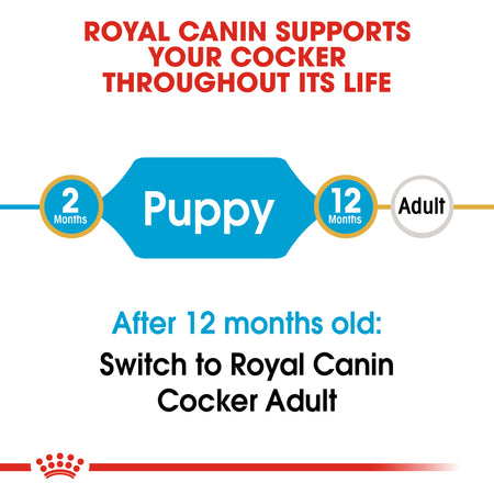 ROYAL CANIN® Cocker Puppy Dry Dog Food