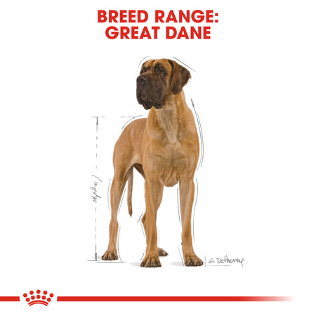 ROYAL CANIN® Great Dane Adult Dry Dog Food