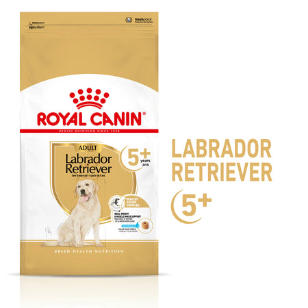 ROYAL CANIN® Labrador Retriever Adult 5+ Dry Dog Food