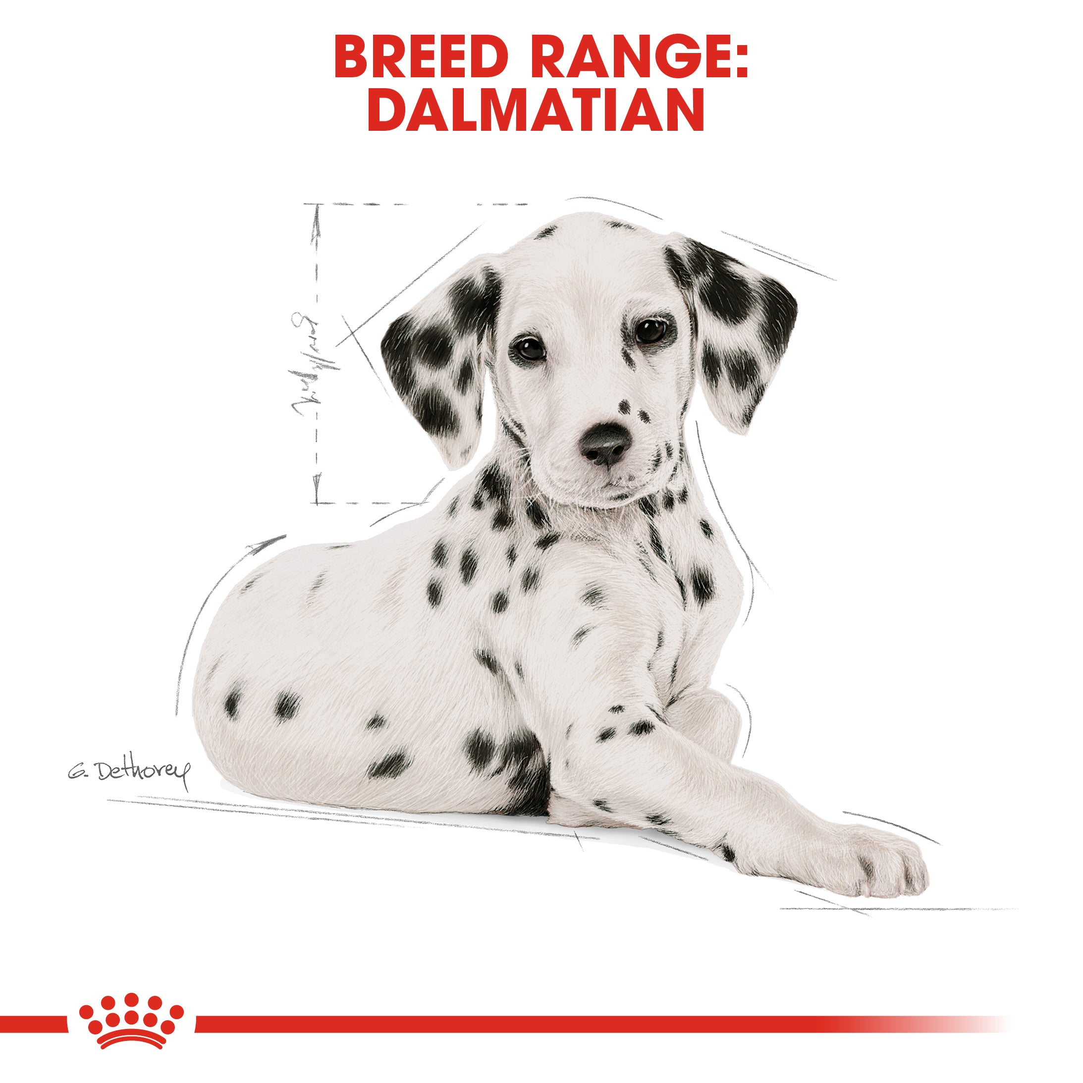 ROYAL CANIN¨ Dalmatian Puppy 12kg – Maltbys' Stores