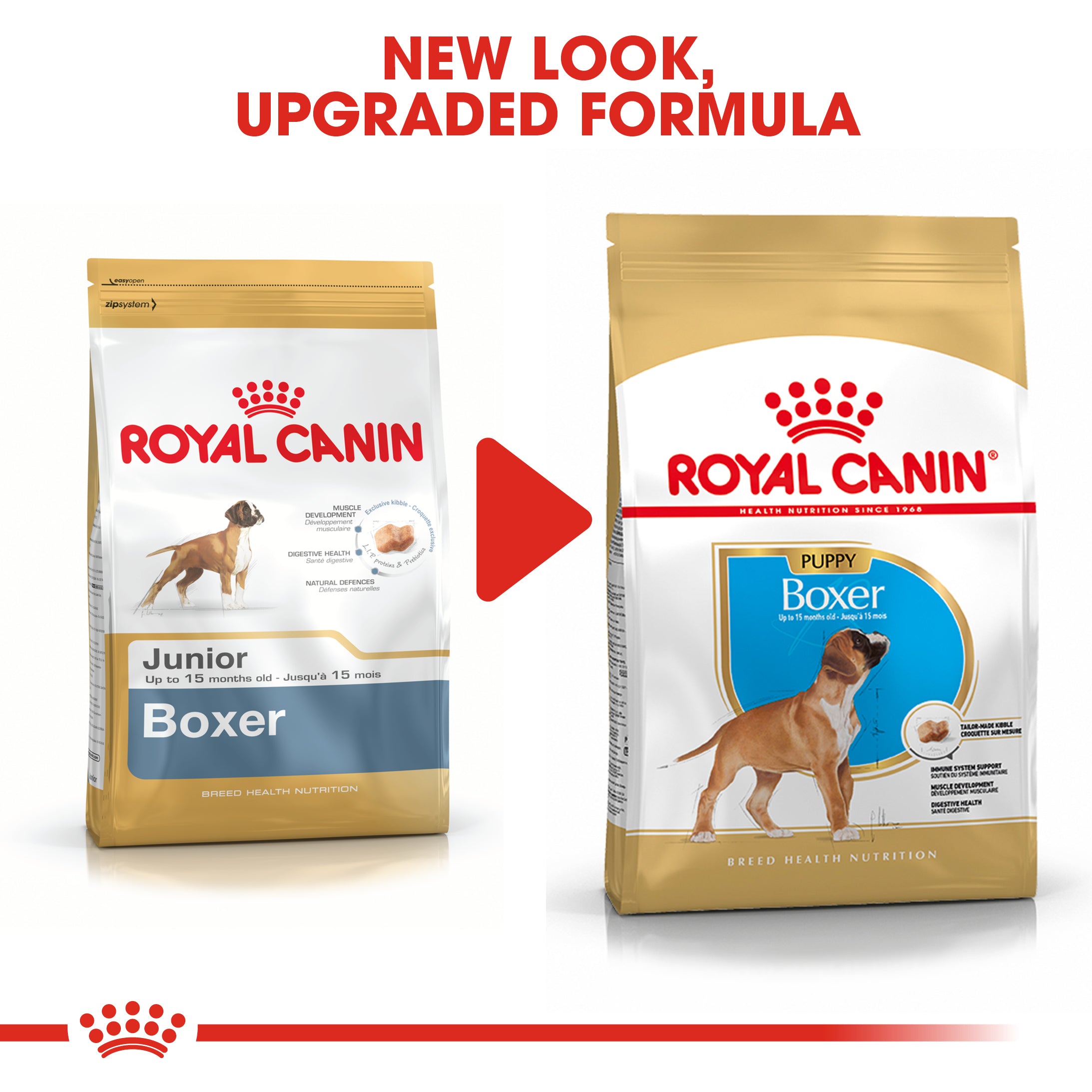 ROYAL CANIN Boxer Puppy Dry Dog Food Maltbys Stores