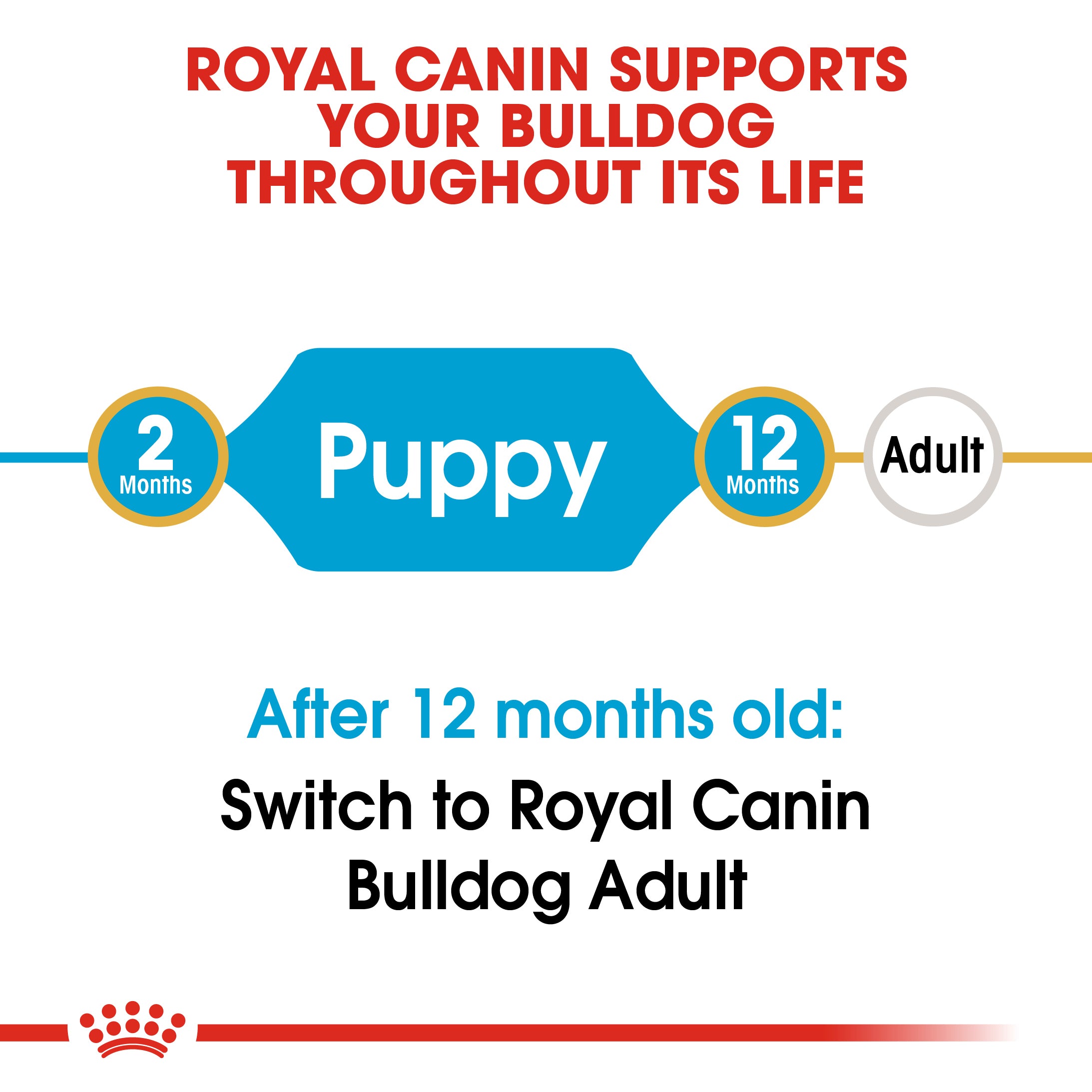 Royal canin outlet dog food bulldog