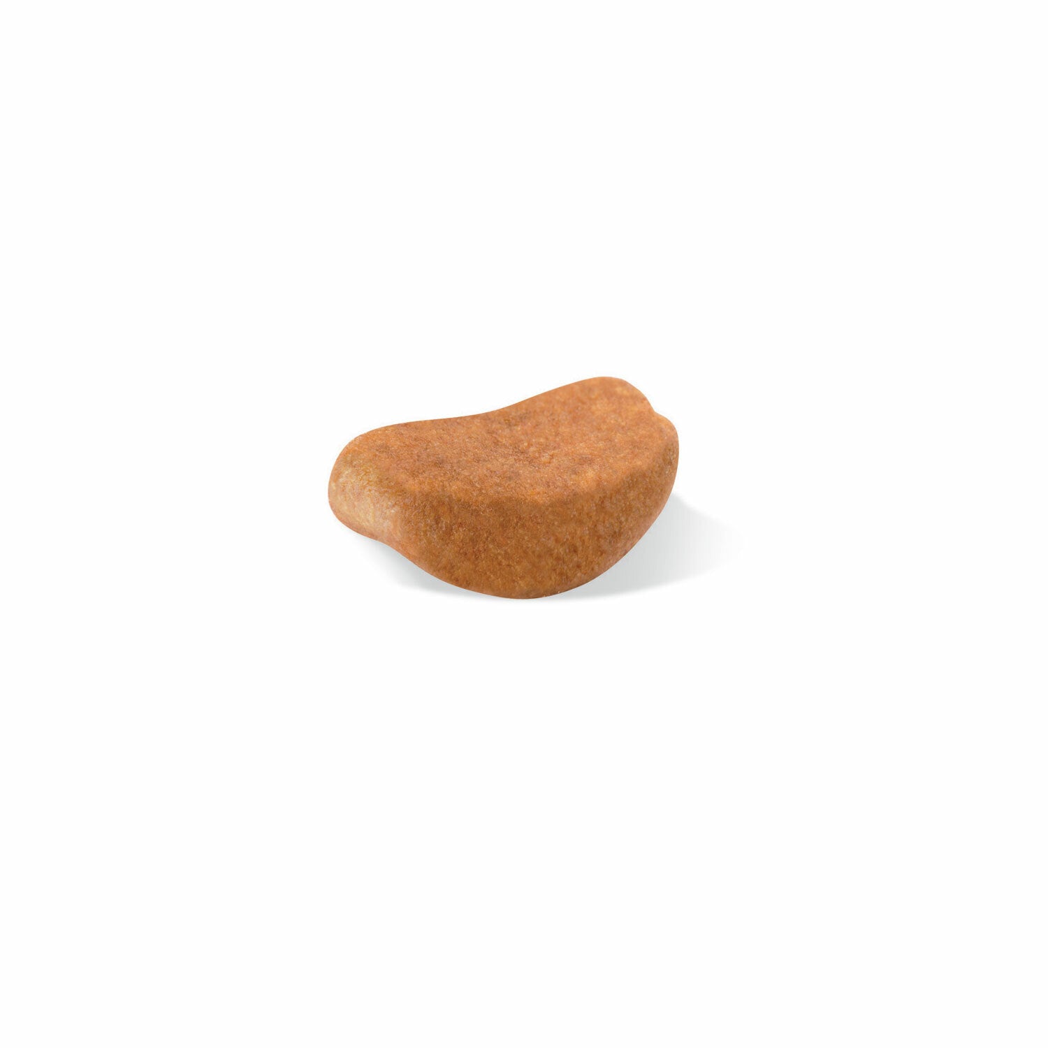 ROYAL CANIN¨ Rottweiler Adult 12kg – Maltbys' Stores