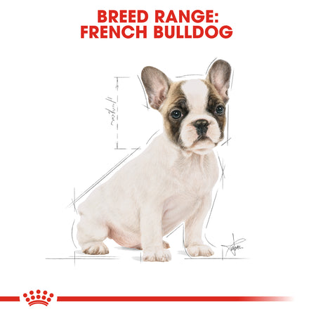 ROYAL CANIN® French Bulldog Puppy Dry Food