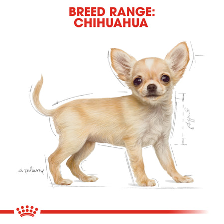 ROYAL CANIN® Chihuahua Puppy Dry Dog Food