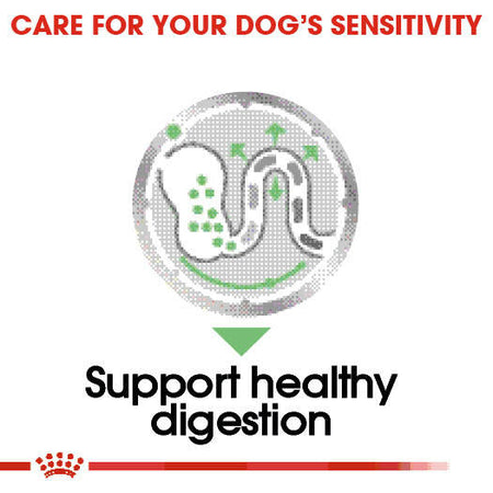 ROYAL CANIN® Digestive Care Wet Pouches Adult Dog Food