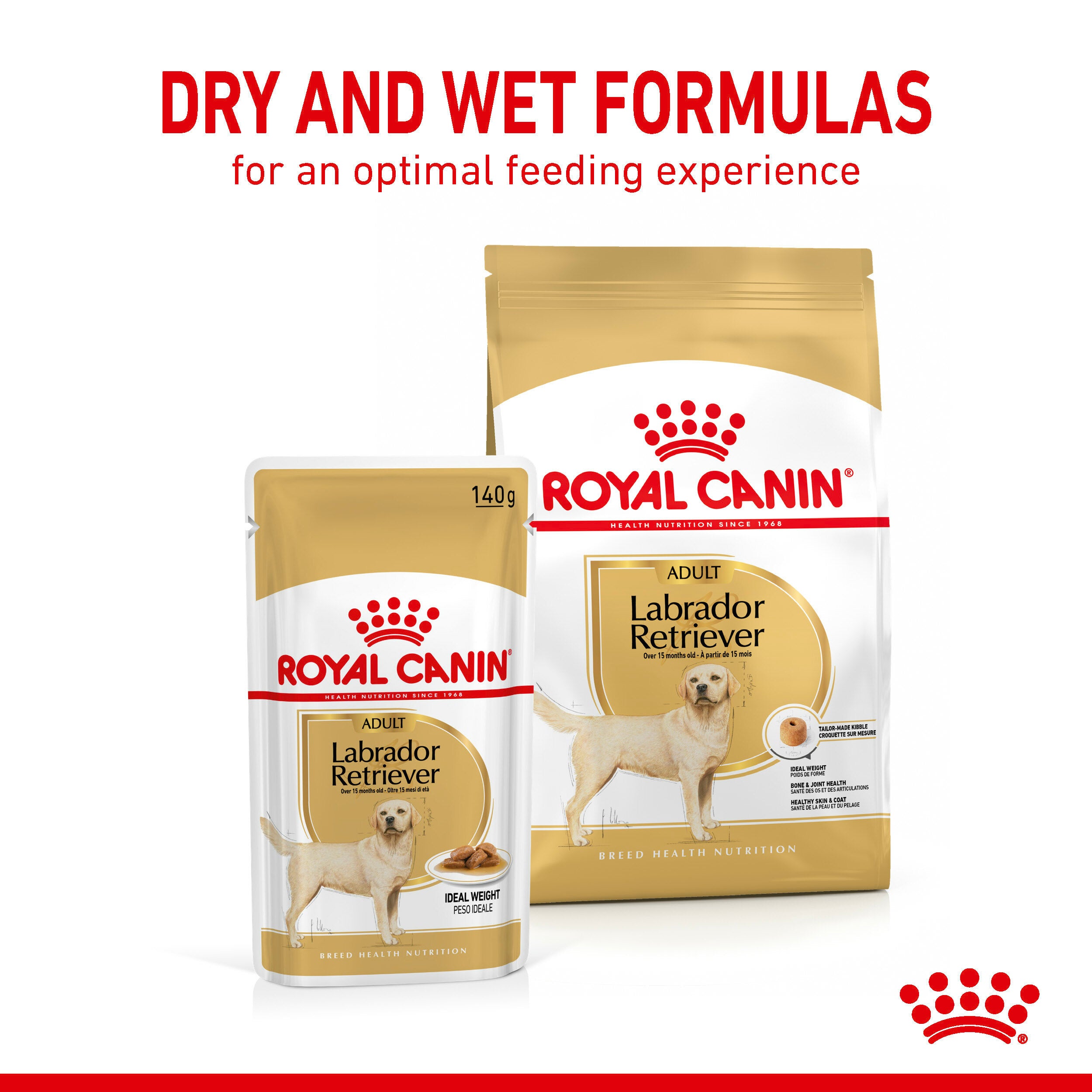 ROYAL CANIN Labrador Retriever Adult in Gravy Wet Dog Food Sold by Maltbys Stores Est 1904 Ltd Maltbys Stores