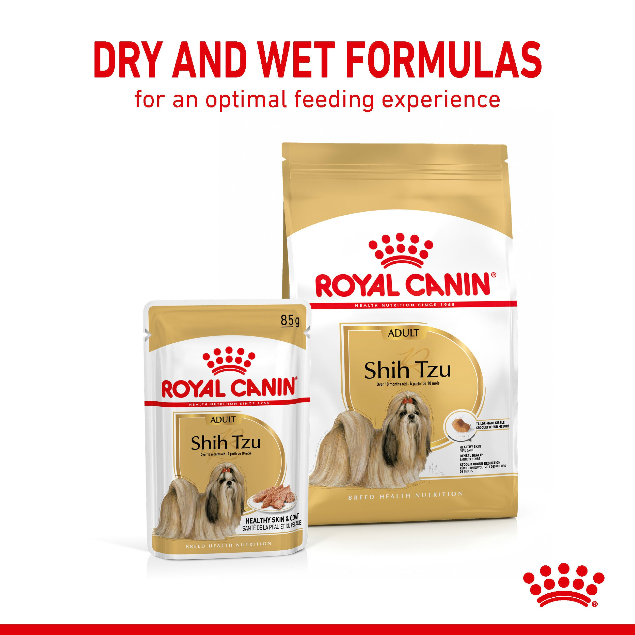 ROYAL CANIN Shih Tzu Adult in loaf Wet Dog Food Sold by Maltbys