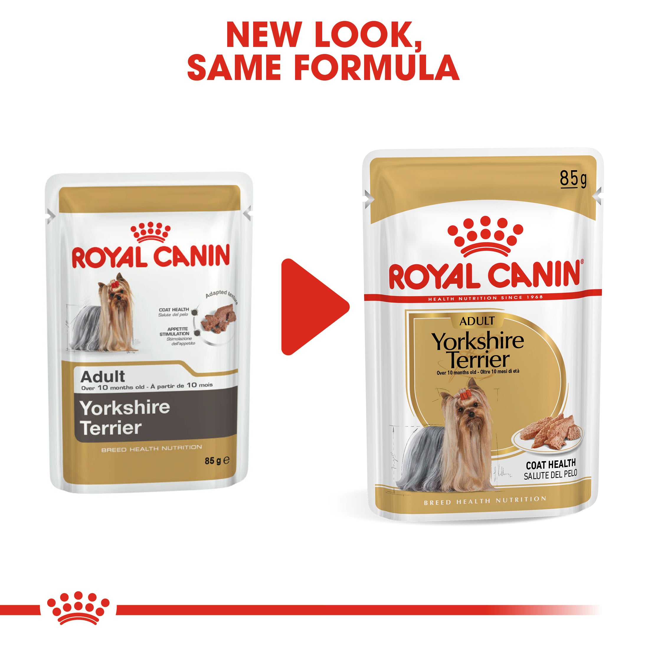 Royal canin yorkshire outlet terrier puppy food