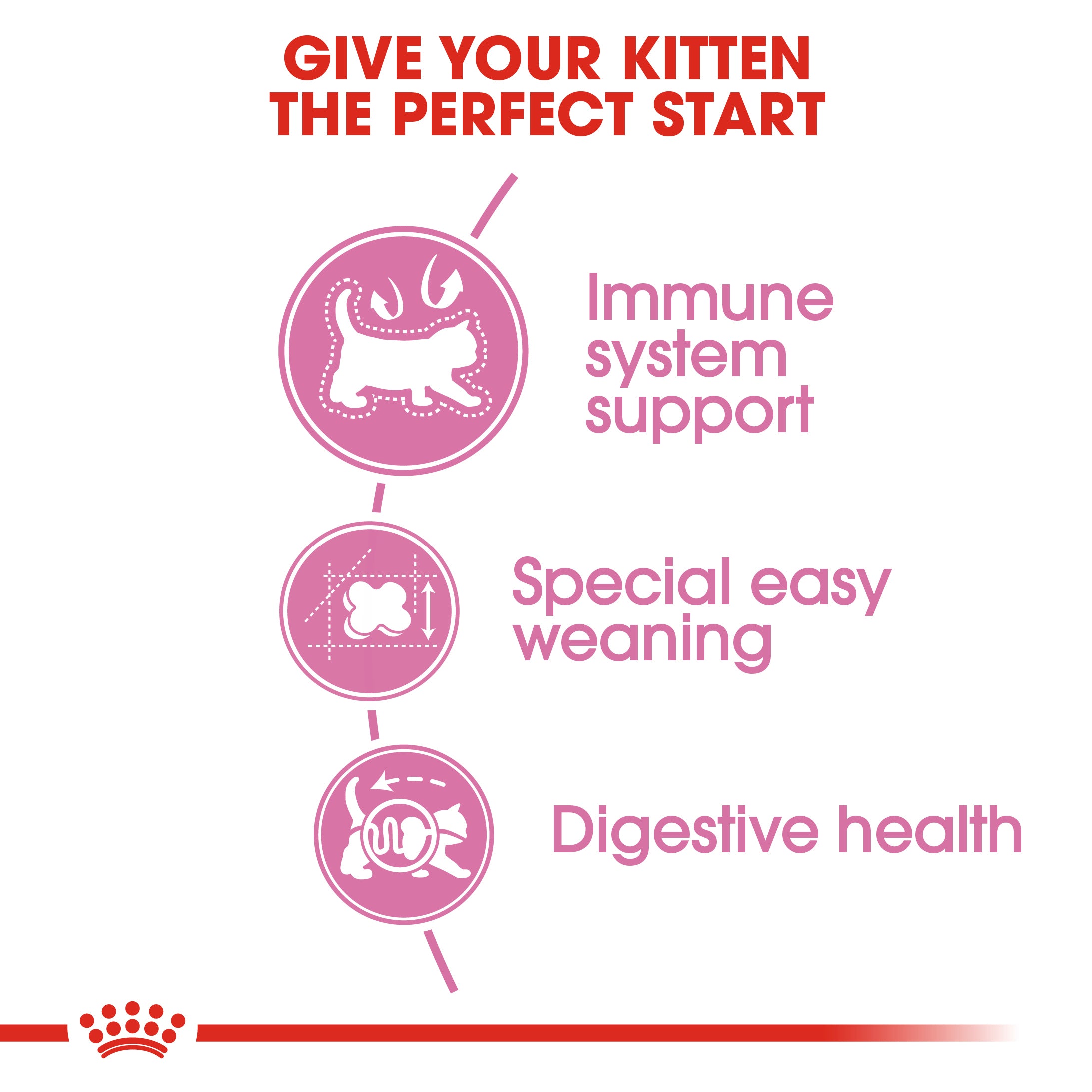 Royal canin clearance kitten and mother