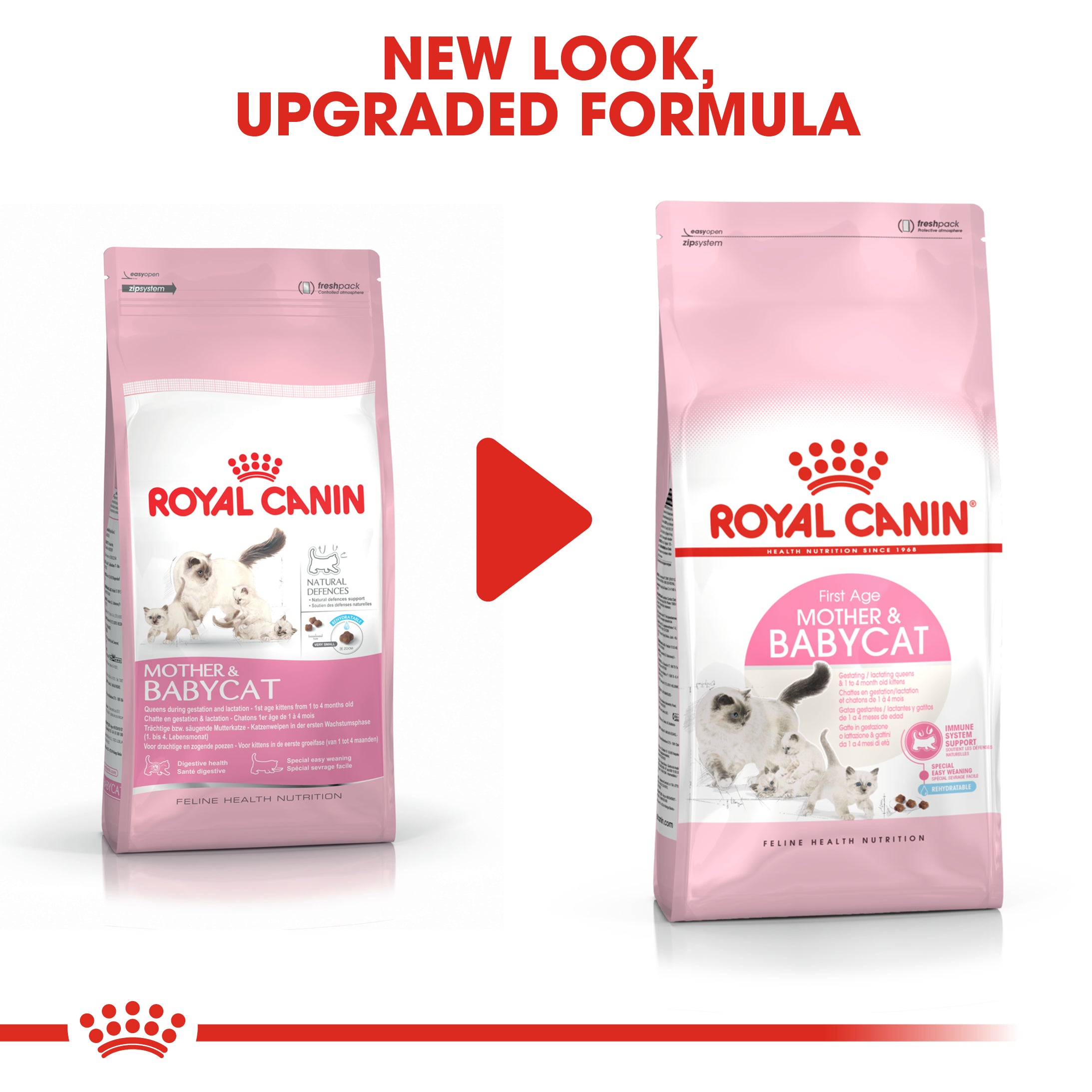 Royal canin baby shop and mother cat