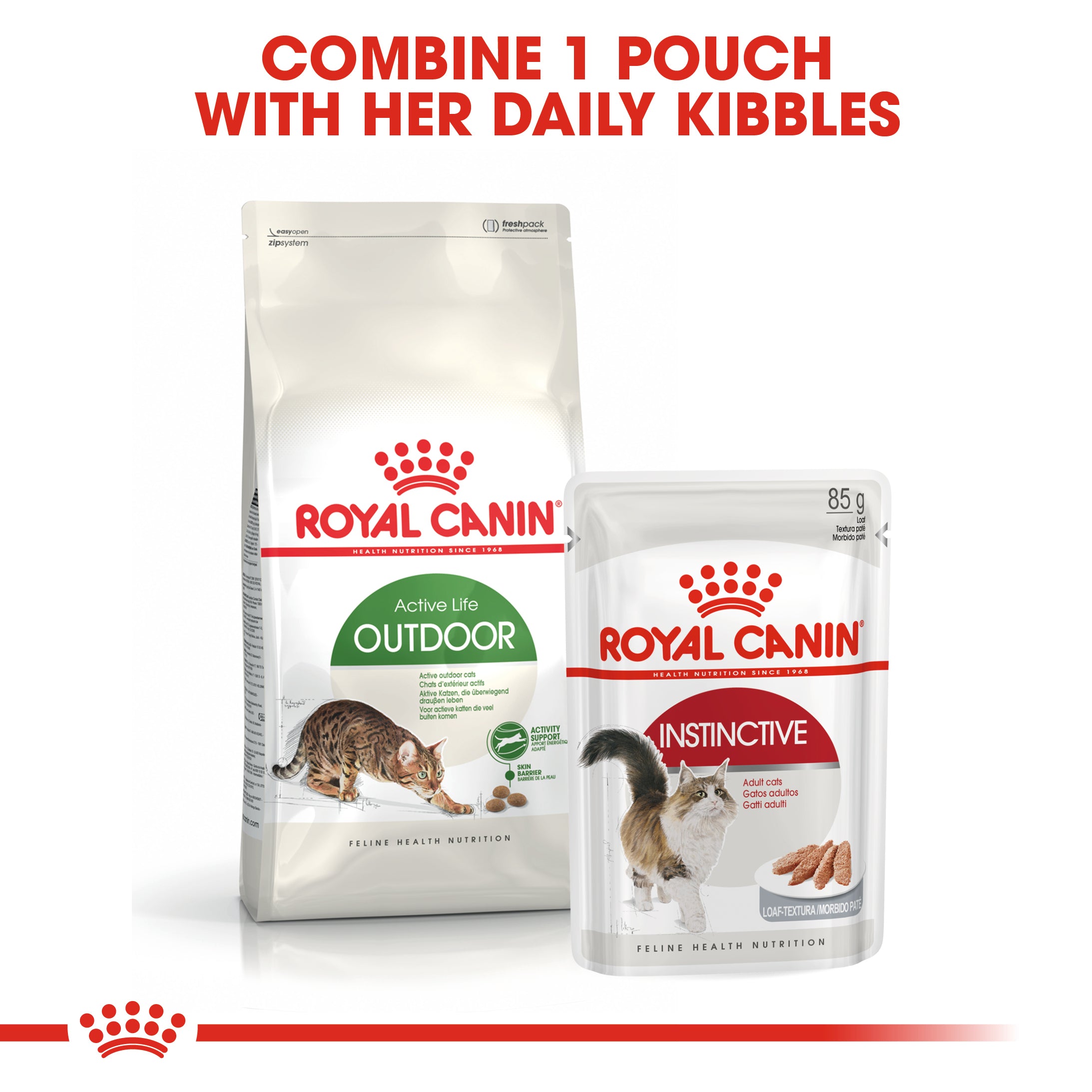 Royal canin 2025 outdoor cat