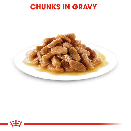 ROYAL CANIN® Maxi Puppy in Gravy Wet Food