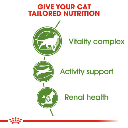 ROYAL CANIN® Outdoor 7+ Adult Dry Cat Food