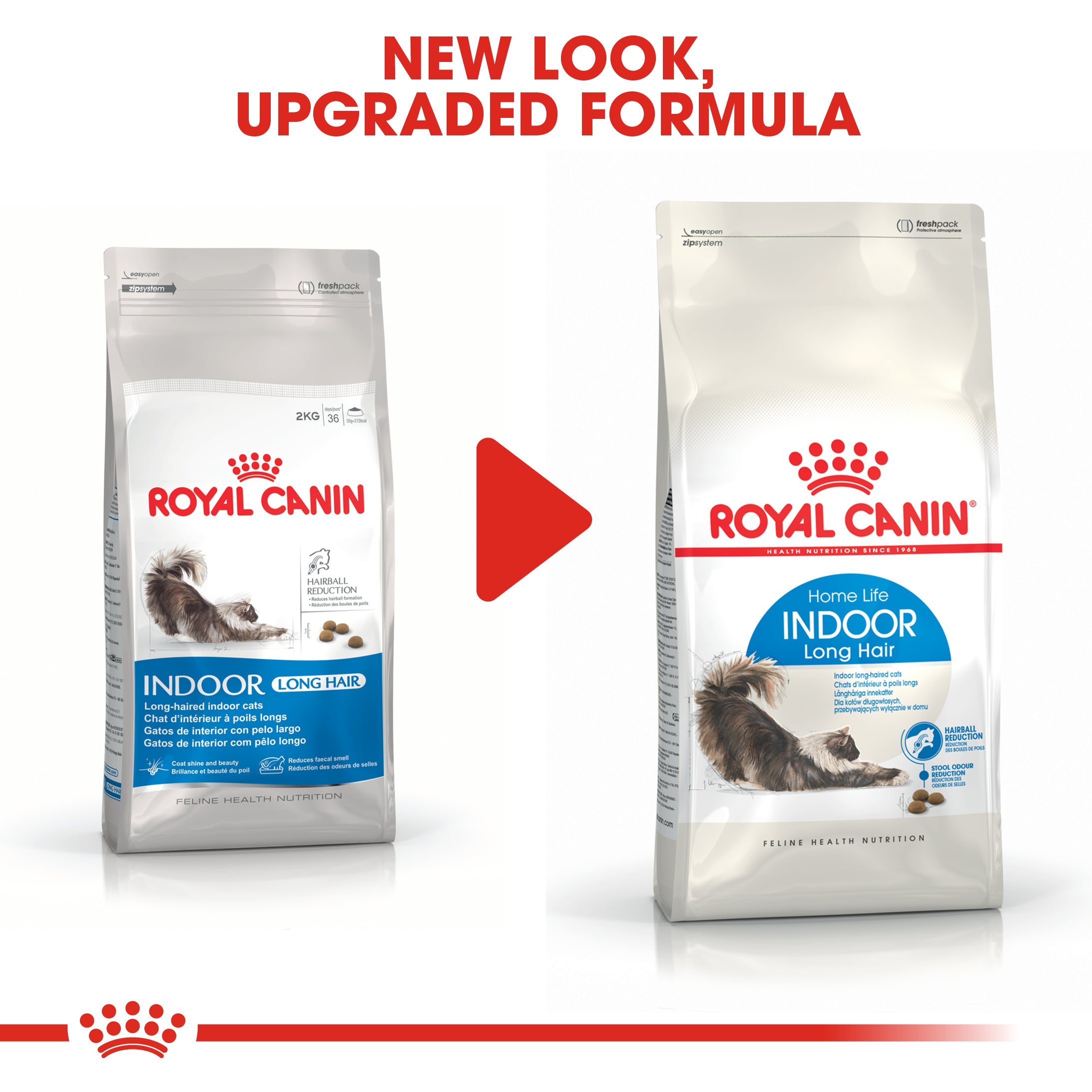 キャットフード  CANIN Indoor Long Hair 10kg Indoor Long Hair - ROYAL CANIN® Professionals