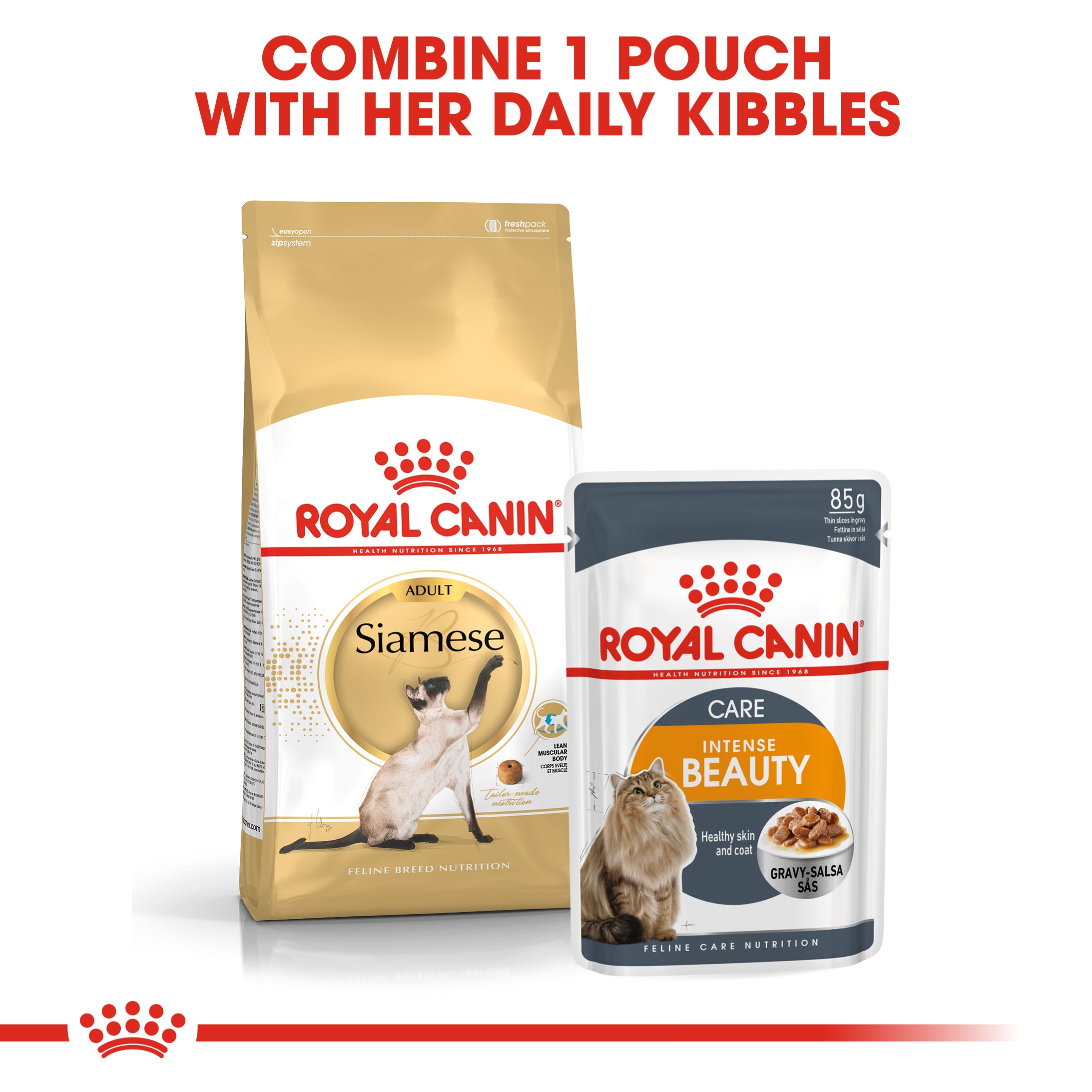 ROYAL CANIN Siamese 400g Maltbys Stores